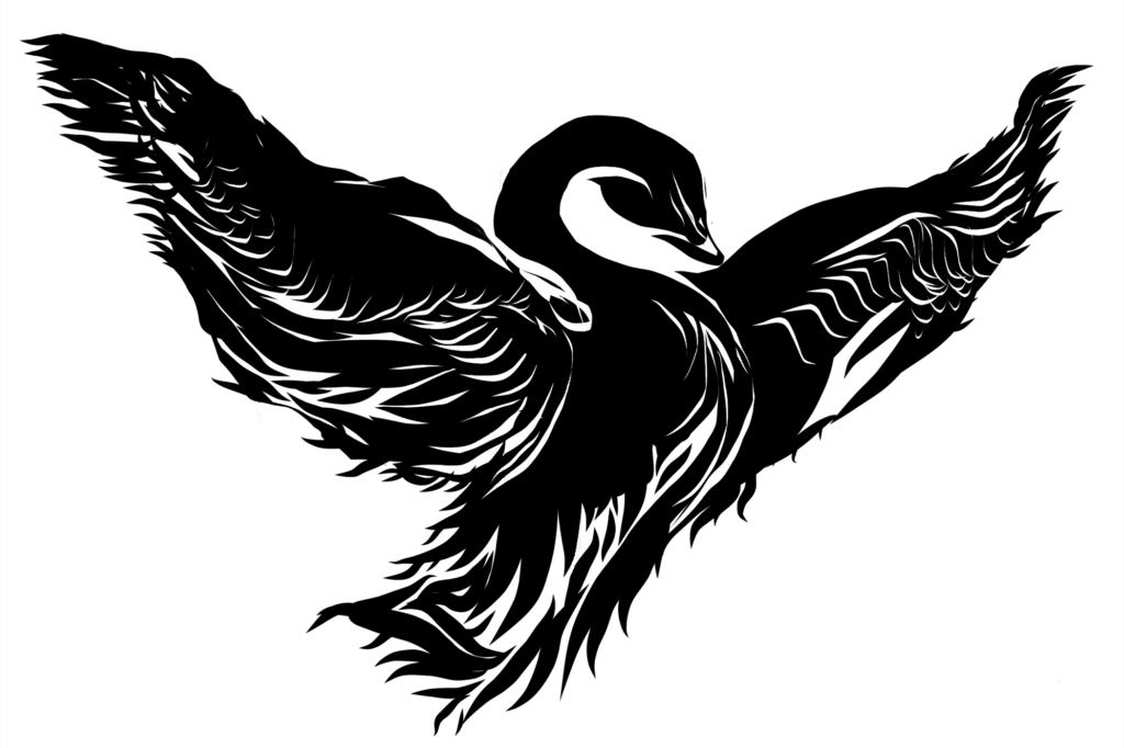 The Black Swan District